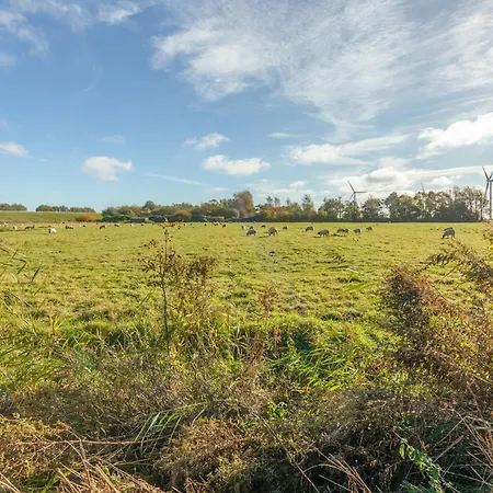 De Luette Moeoev * Simonsberg