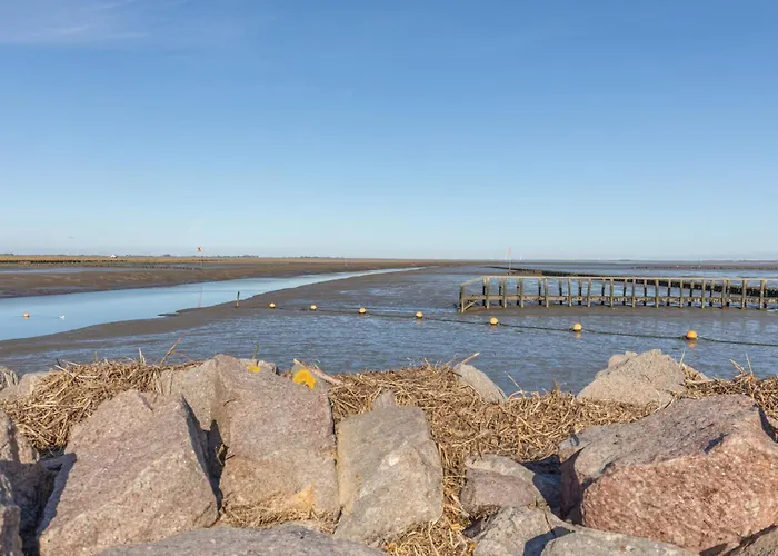 De Luette Moeoev Tatil Evi Simonsberg