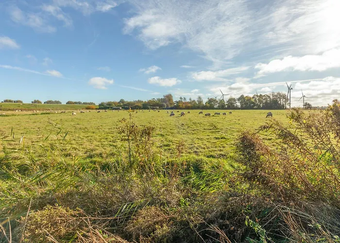 De Luette Moeoev * Simonsberg